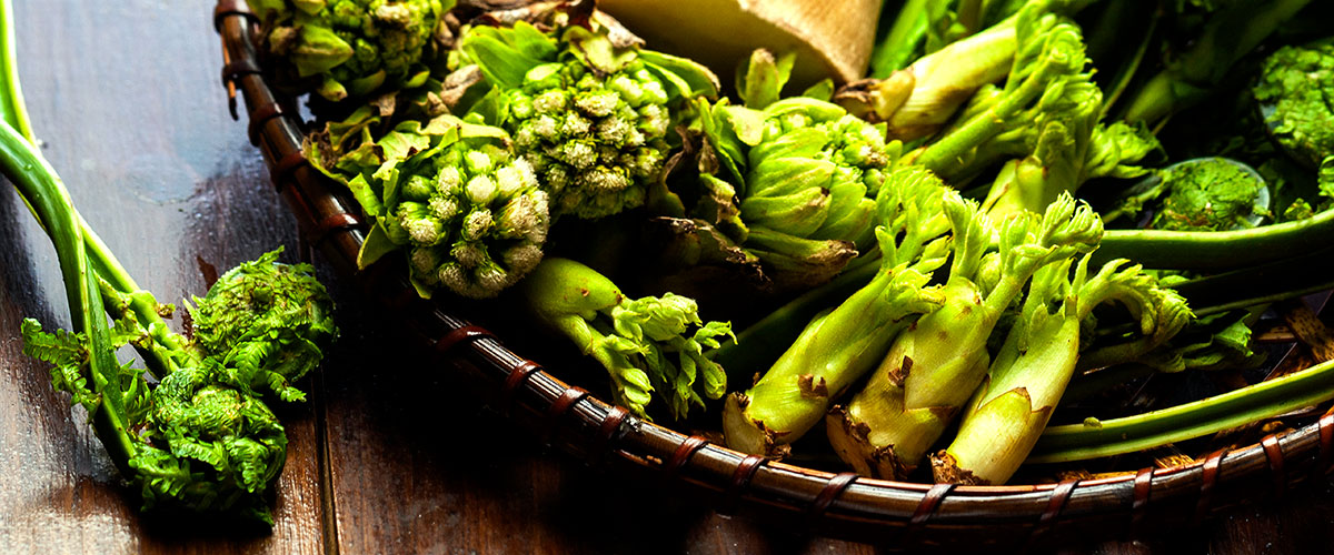 軽井沢の日々が、快適な時間になるように